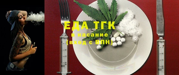 шишки Магас