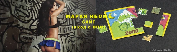 хмурый Абаза