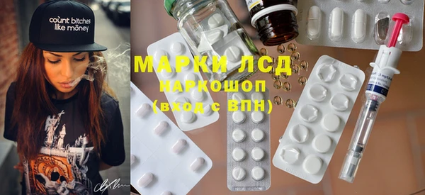 хмурый Абаза