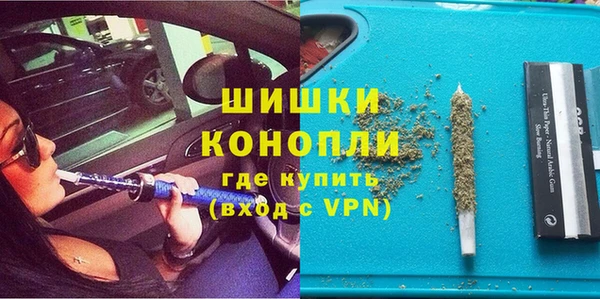 хмурый Абаза