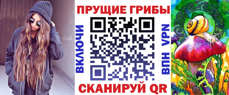 это Telegram  Сураж  Псилоцибиновые грибы GOLDEN TEACHER 